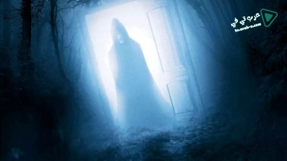 فيلم Door in the Woods 2019 مترجم