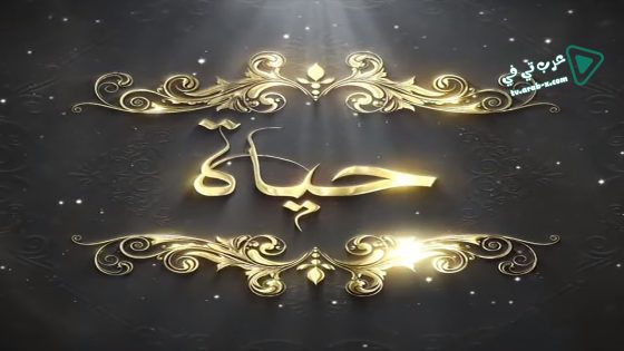 حياة الحلقة 17