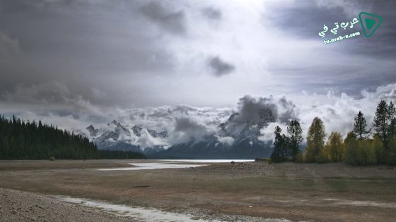 فيلم Population Zero 2016 مترجم