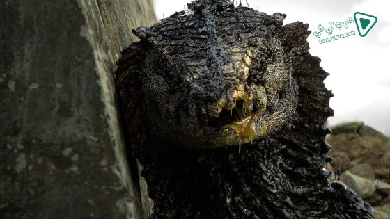 فيلم Rakka 2017 مترجم