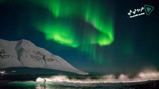 فيلم Under an Arctic Sky 2017 مترجم